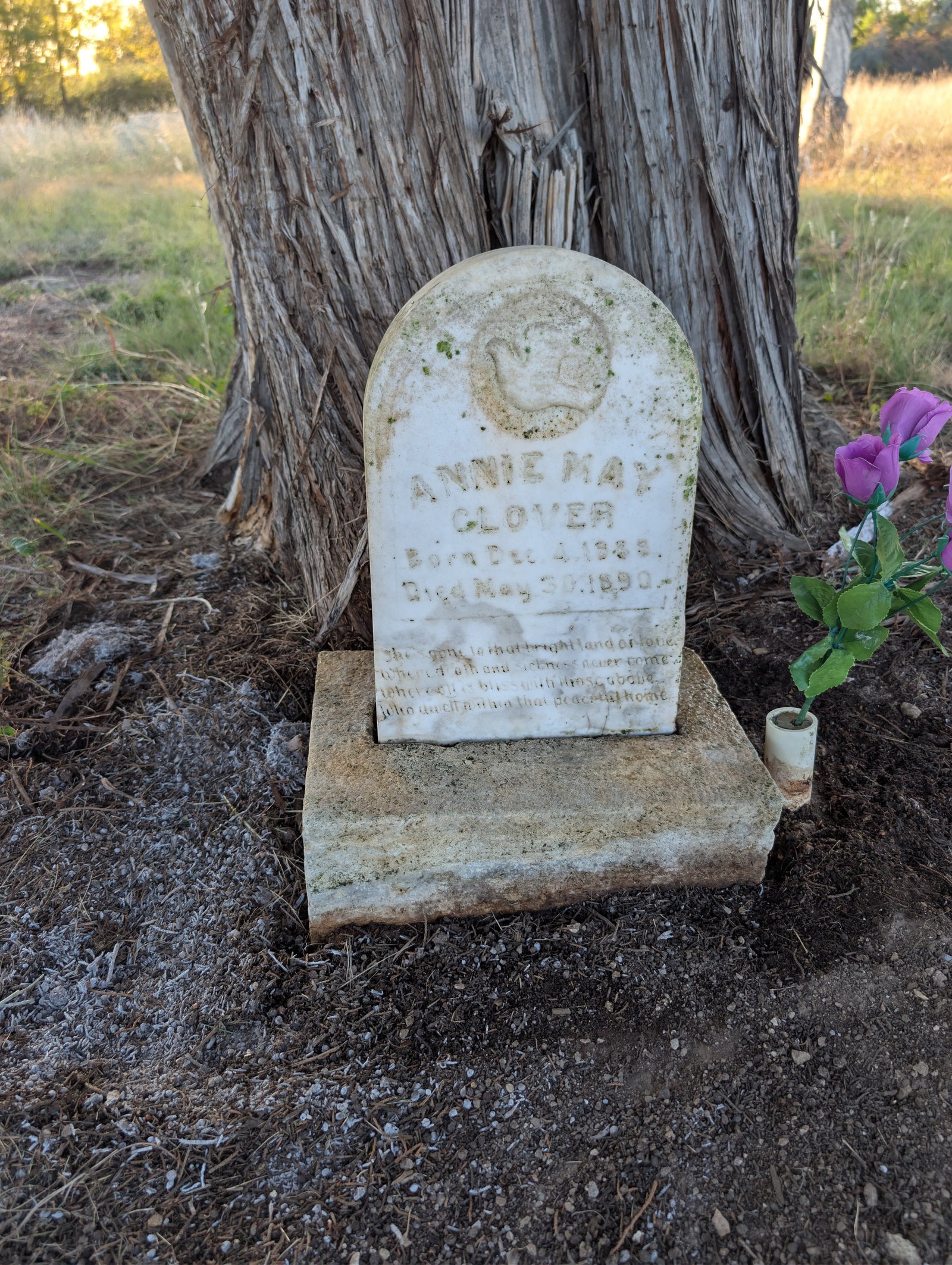 Annie May Clover marker after gentle conservation treatment