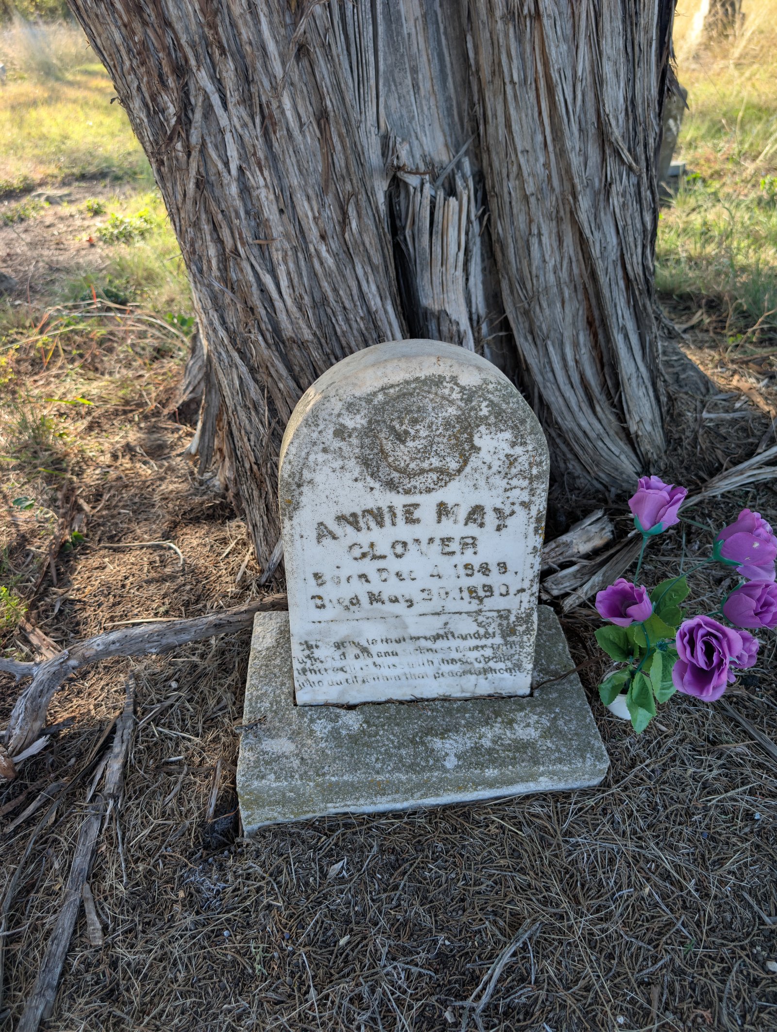 Annie May Clover marker before conservation treatment