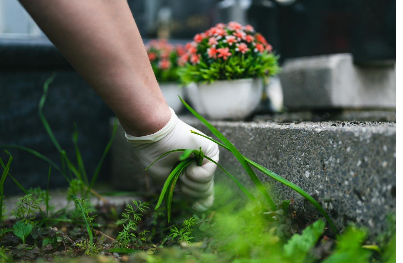 Hand tending grass around monument